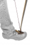 Arrowhead Toe Tip Protector Thumbnail Image 2