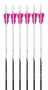 Carbon Legacy 5MM Eichler Edition Batwing Carbon Arrows, 6-pack Thumbnail Image