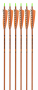 Traditional Only® Autumn Orange XX75 Signature Arrows, 6-pack Thumbnail Image