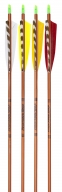 Traditional Only® Autumn Orange XX75 Standard Fletch Arrows, 6-pack
