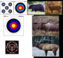 Bow-NaFide Archery Target Faces Thumbnail Image