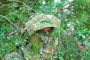 Titan 3D Leafy Face Mask Thumbnail Image 5