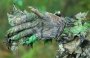Titan 3D Leafy Gloves, Pair Thumbnail Image 2