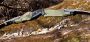 DAS Bows™ HT-21 Riser Thumbnail Image 12