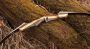 Edge Hyper 62" Takedown Recurve Thumbnail Image 7