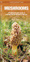 Pocket Guides Thumbnail Image 3