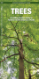 Pocket Guides Thumbnail Image 4
