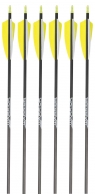 Trading Post Gold Tip Warrior Arrows - 500 6-pack cut 27.5"