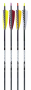 Traditional Only® Obsidian Carbon Arrows Thumbnail Image