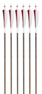 Victory Bamboo Trad™ Carbon Arrows, 6-pack