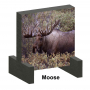 Bow-NaFide Original Series Target 24x24 Thumbnail Image 9