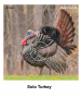 Bow-NaFide Sportsman Series Target 24x30 Thumbnail Image 13
