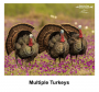 Bow-NaFide Sportsman Series Target 24x30 Thumbnail Image 14