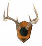 Antler Mounting Kit Thumbnail Image 2
