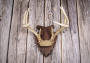3Rivers Archery® Arrowhead Plaques Thumbnail Image 5