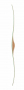 Accented Laminated Longbow Blank Thumbnail Image