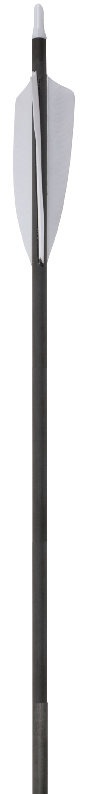 3Rivers Carbon Youth Arrows 6-pack