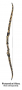 Fred Bear Camo Takedown Recurve Limbs Thumbnail Image 9