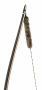 Bear Archery Silent Shot Bow String Thumbnail Image 4