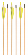 3Rivers Archery® RTS Wood Arrows, 6-pack