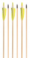 3Rivers Archery® RTS Wood Arrows, 6-pack