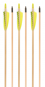 3Rivers Classic Fletched Wood Arrows