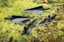 Woodsman® ELITE Series 3-Blade Screw-In Broadheads Thumbnail Image 4
