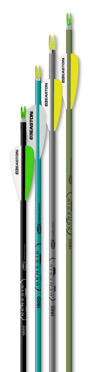 NASP Genesis V2 Youth Arrows
