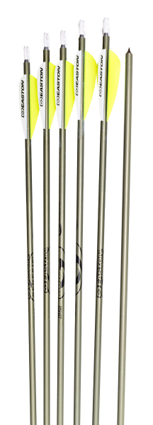NASP Genesis V2 Youth Arrows