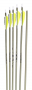 NASP Genesis™ V2 Youth Arrows Thumbnail Image 6
