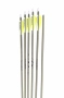 NASP Genesis™ V2 Youth Arrows Thumbnail Image 7