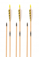 3Rivers Archery® Premium 28" Youth Cedar Arrows 6-pack