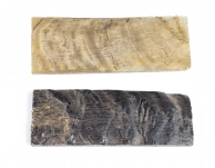 Ram Horn Scale