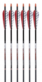 Zenith Arrow 400 Spine (6pk)