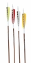 Traditional Only® Carbon Arrows Thumbnail Image