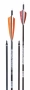 Fleetwood Carbon Arrows, 6-pack Thumbnail Image