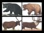 Big Game Paper Targets - Group A (4-Pack) Thumbnail Image