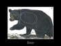 Big Game Paper Targets - Group A (4-Pack) Thumbnail Image 2