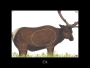Big Game Paper Targets - Group A (4-Pack) Thumbnail Image 4