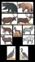 Big Game Paper Archery Targets Thumbnail Image