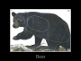 Big Game Paper Archery Targets Thumbnail Image 2