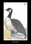Big Game Paper Archery Targets Thumbnail Image 11