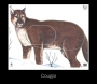 Big Game Paper Archery Targets Thumbnail Image 6