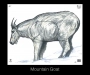 Big Game Paper Archery Targets Thumbnail Image 10