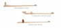 Atlatl Kit Thumbnail Image 2