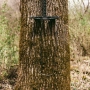 Latitude Single Step Aider Thumbnail Image 8