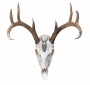 Euro Hanger Thumbnail Image 4