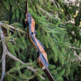 Traditional Only® Oberon 62" Takedown Recurve Bow Thumbnail Image 13