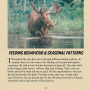 Trad Hunters Magazine Thumbnail Image 9