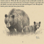 Trad Hunters Magazine Thumbnail Image 7
